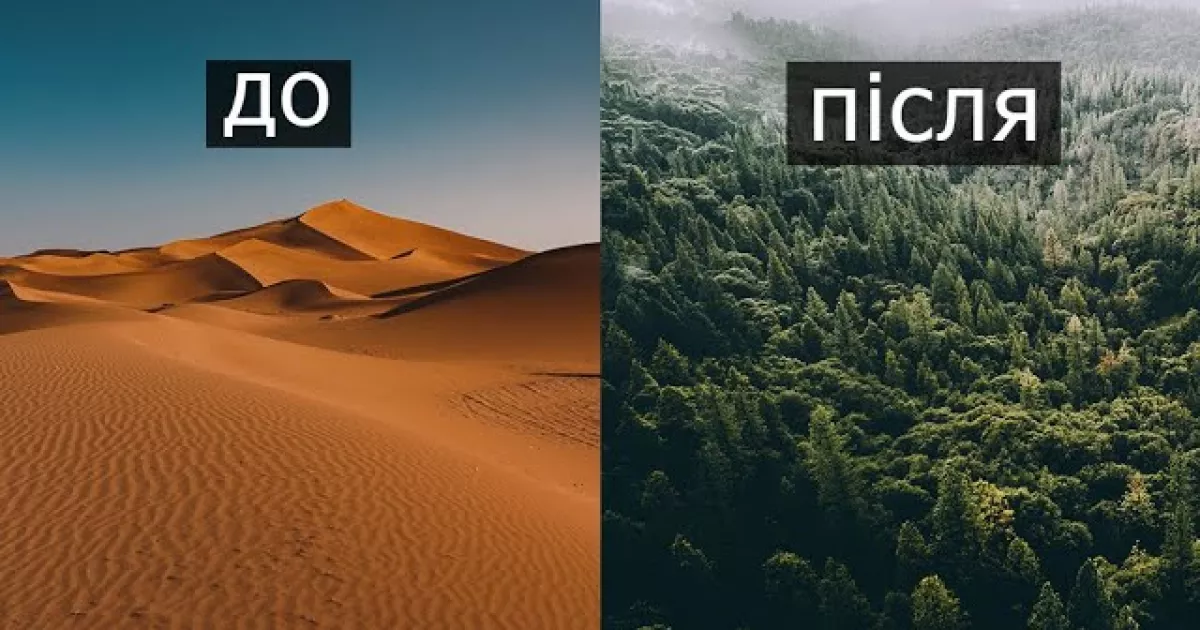 Як Китай перетворив одну з найзасушливіших пустель світу на поглинач вуглецю