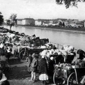 Яким був базар в Ужгороді десятки років тому: атмосферні фото з минулого