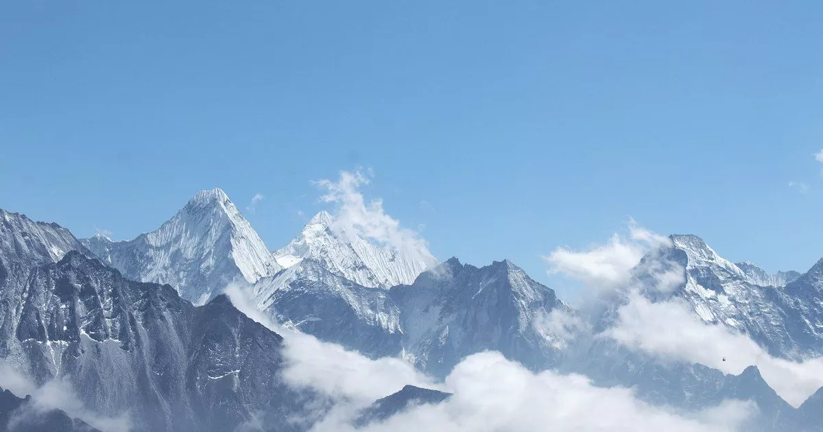 Їх ріст порівняли з Еверестом: у болоті знайшли найбільші бактерії світу (відео)