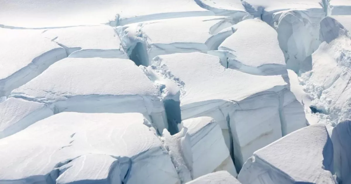 60 років досліджень — фатальна помилка: шок із Арктики, який приховали