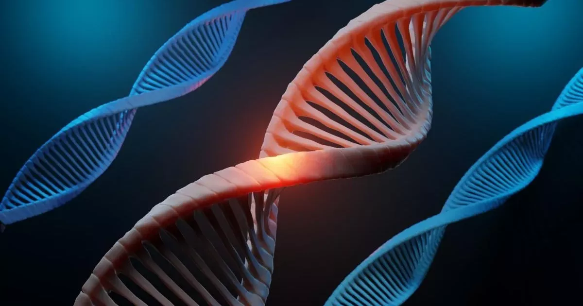 Головна загадка складного життя нарешті розгадана: ми знаємо, як воно зародилося на Землі