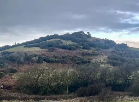 Ось-ось знайдуть курган напівлегендарного воєначальника вікінгів — чому його шукають в Англії (фото)