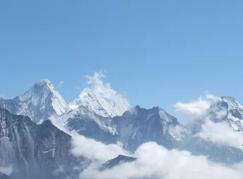 Їх ріст порівняли з Еверестом: у болоті знайшли найбільші бактерії світу (відео)