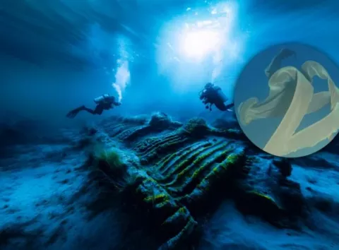 Фантом у «космосі»: у глибинах океану зняли «танок» гігантської примарної медузи (відео)