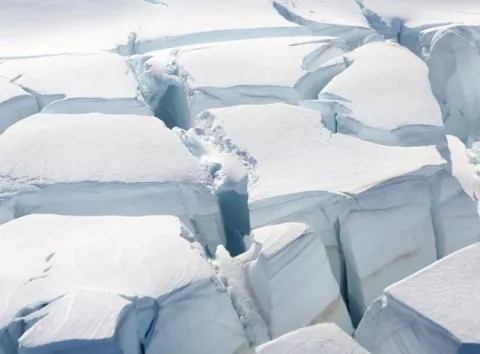 60 років досліджень — фатальна помилка: шок із Арктики, який приховали