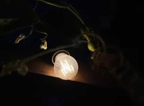 ДТЕК ввів екстрені відключення світла — у Дніпропетровській області скасували графіки