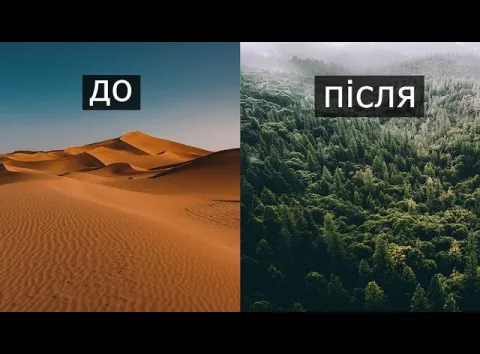 Як Китай перетворив одну з найзасушливіших пустель світу на поглинач вуглецю
