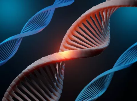 Головна загадка складного життя нарешті розгадана: ми знаємо, як воно зародилося на Землі